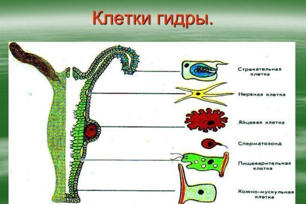 Ссылки на сайты даркнета